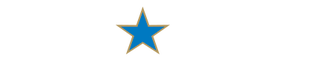 watermark-alliedsecurity-logo-reversed_4